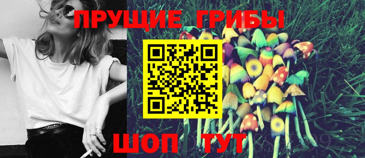 Галлюциногенные грибы GOLDEN TEACHER  Вход с VPN  Псилоцибиновые грибы ЛСД  Уфа 