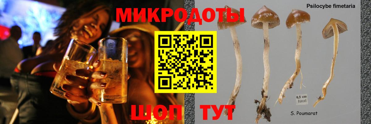 Псилоцибиновые грибы Cubensis Уфа